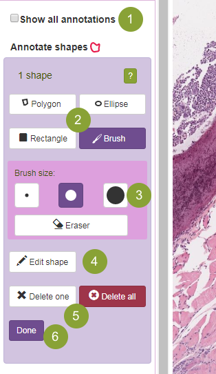 Annotate Shapes Annotate Shapes