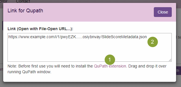 QuPath link dialog QuPath link dialog